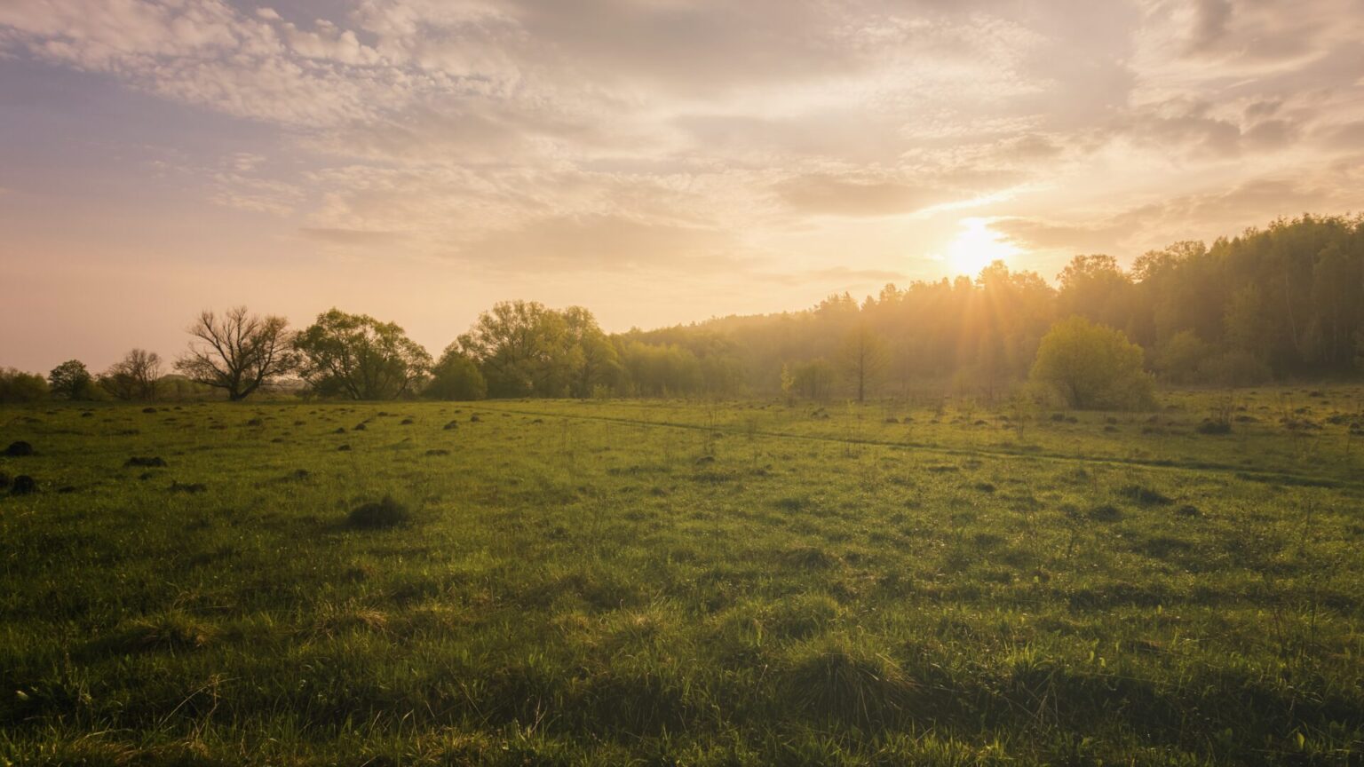Leader Training for Session 7 (April 13, 2025) - Explore the Bible